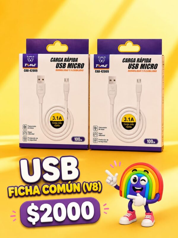 USB tipo V8 (Ficha común)