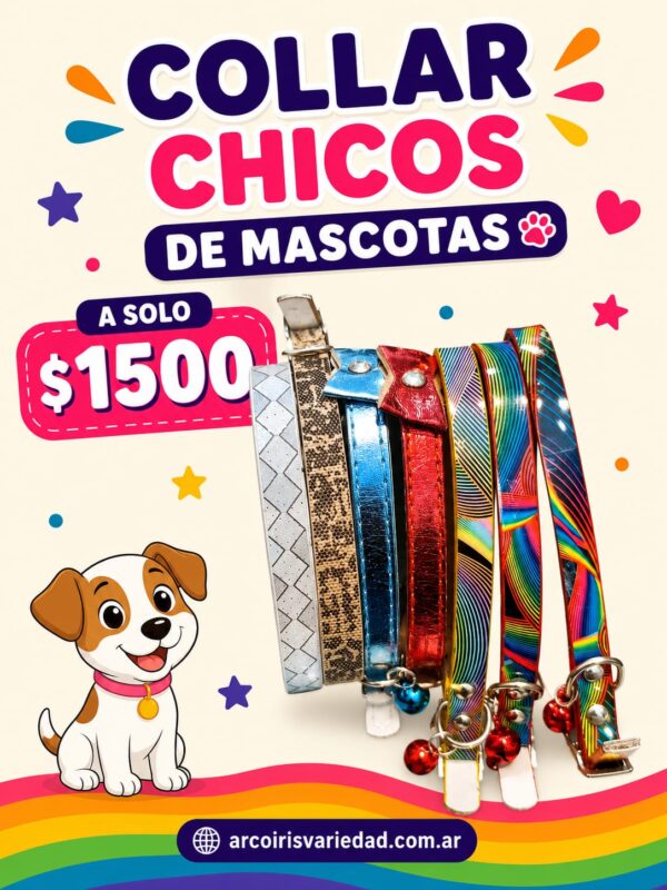 Collar chico de mascotas
