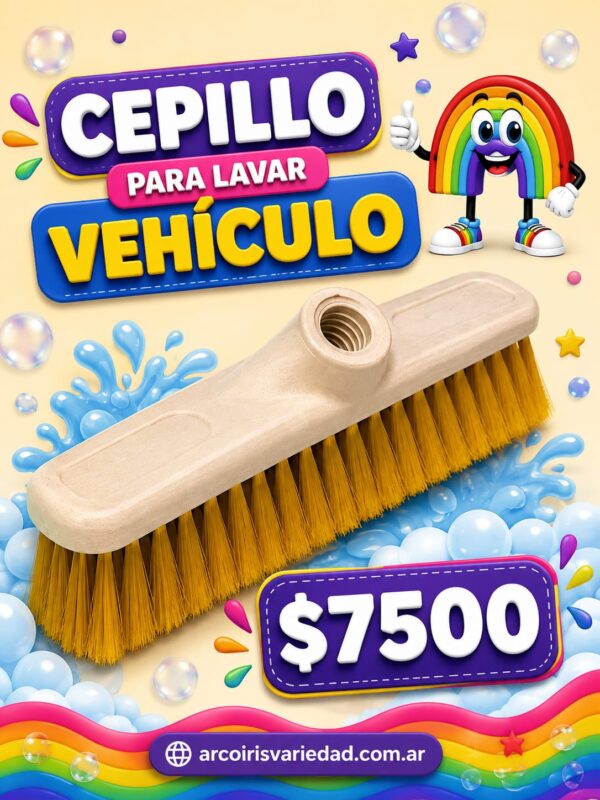 Cepillo para vehículo